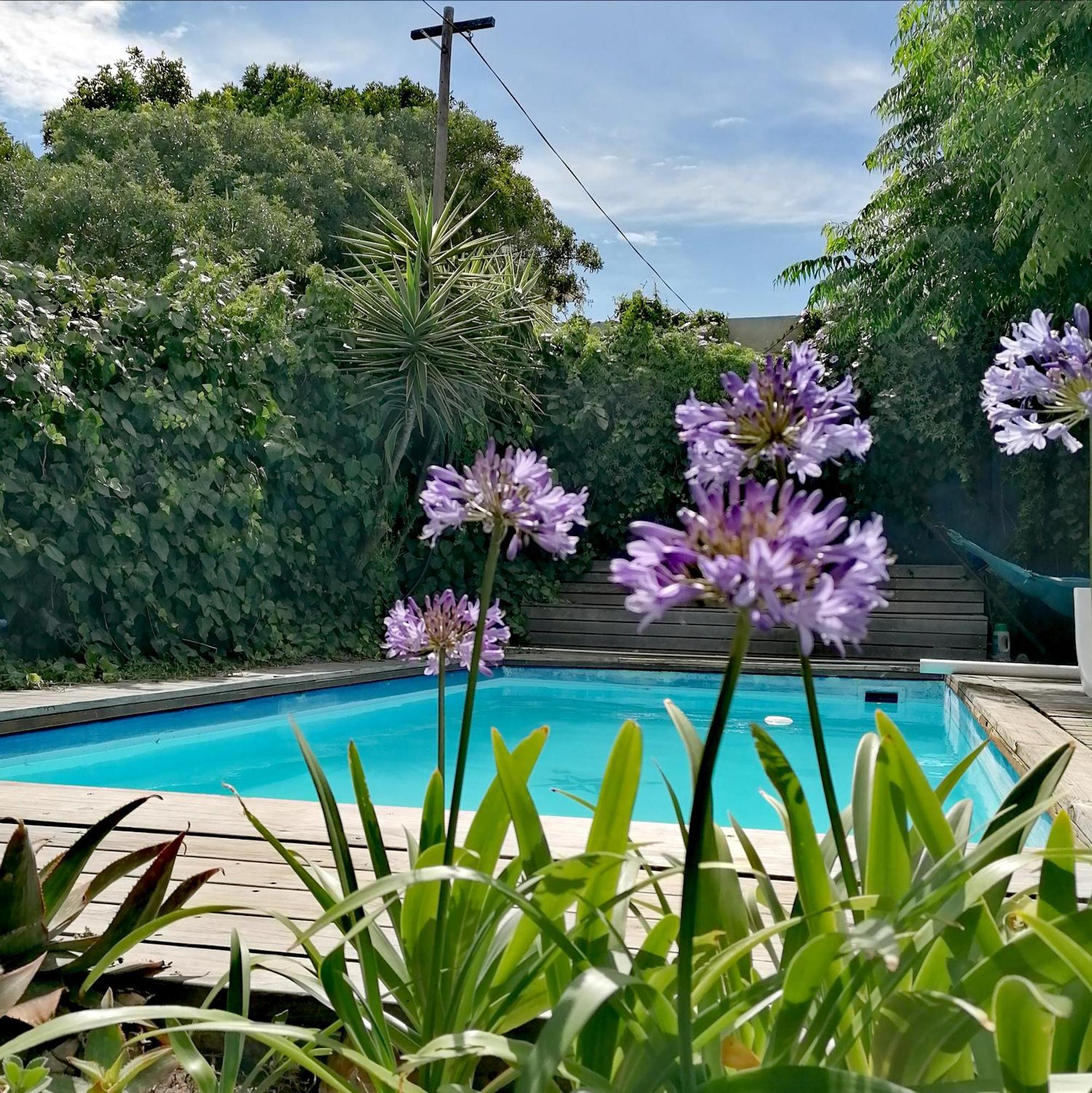 Aloha Lodge Cape Town Exterior photo